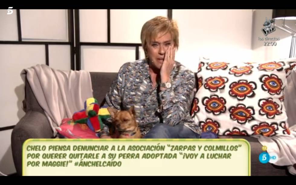 Los rótulos más surrealistas de los programas de corazón