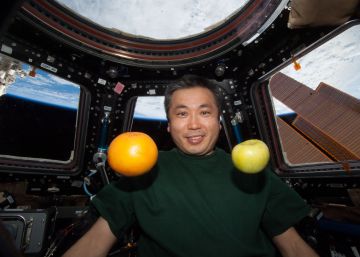 Las bacterias de la estación espacial se parecen a las de cualquier casa