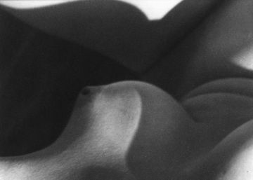 Imogen Cunningham; la belleza a través de las formas