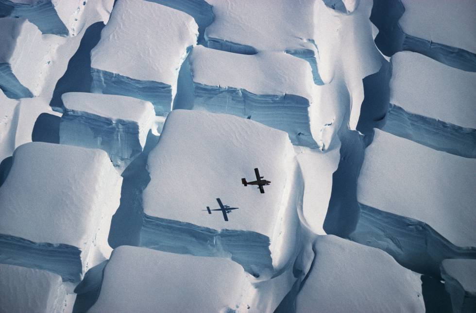 Imagen ganadora en 2017 del concurso de fotografía de la Royal Society.