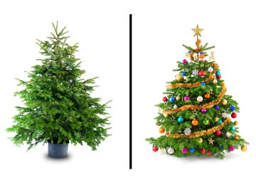 Olvídese del abeto: este es el árbol de Navidad que debería comprar este año