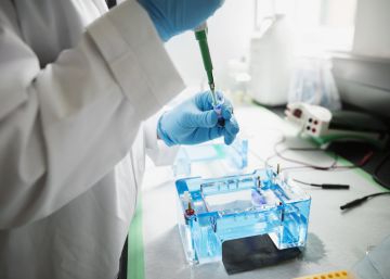 Una nueva técnica edita el genoma sin tocar los genes
