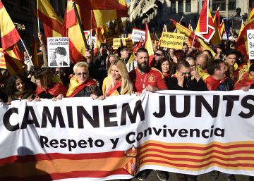 Contra la singularidad en la Constitución