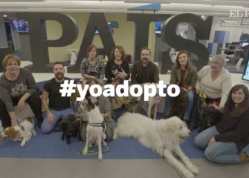 EL PAÍS se suma a la campaña #nosoyunjuguete17