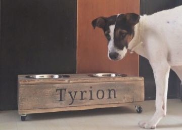 Súmate a #yoadopto y gana un regalo para tu mascota