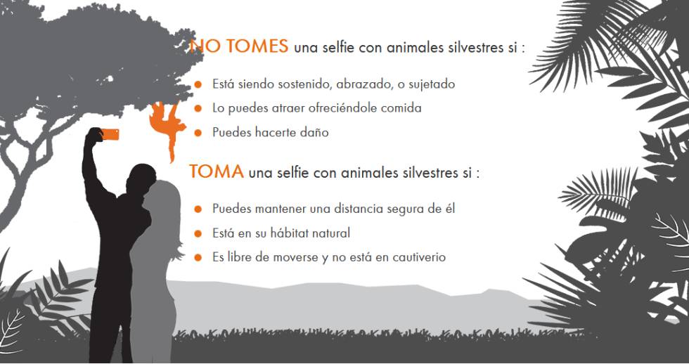 Guía de buenas prácticas para hacerse 'selfies' con animales salvajes.