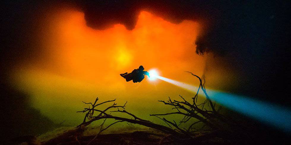 Las mejores fotografías científicas de 2017