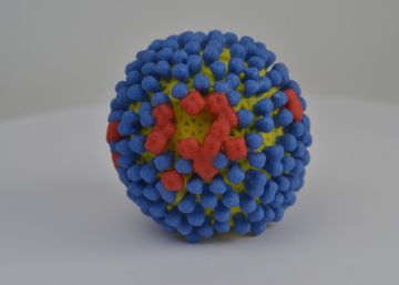 Estados Unidos vuelve a permitir las investigaciones que pueden producir virus letales