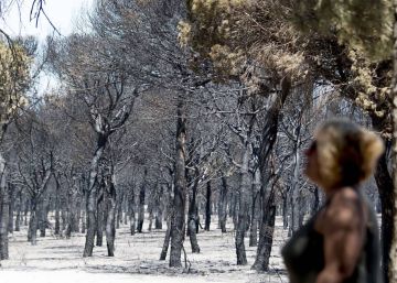 El fuego impermeabiliza el suelo y origina el “chapapote de monte”
