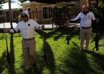 ‘Lluvia’ de iguanas en Florida por las bajas temperaturas