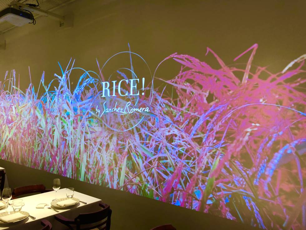 PANEL DEL RESTAURANRE RICE¡ CAPEL