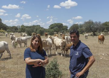 Meet Spain’s unlikely 21st-century shepherds Meet Spain’s unlikely 21st-century shepherds