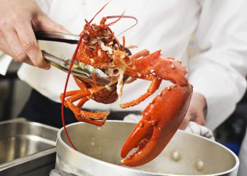 Suiza prohíbe cocinar langostas vivas en agua hirviendo