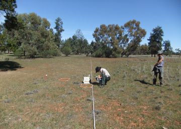 Una reducida aristocracia de bacterias domina los suelos de la Tierra
