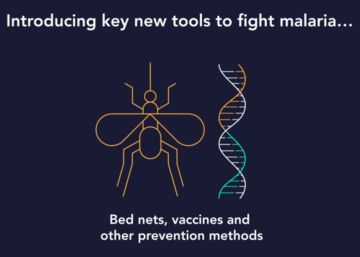 Ocho países americanos libran la batalla final contra la malaria