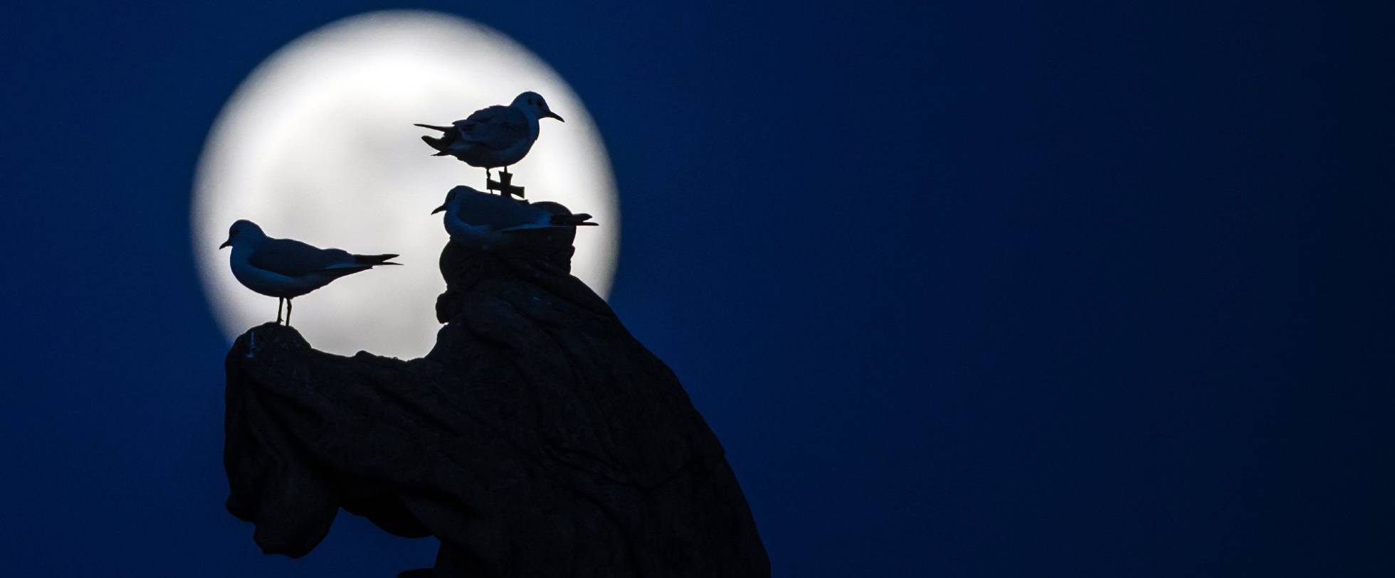 Superlua janeiro 2018