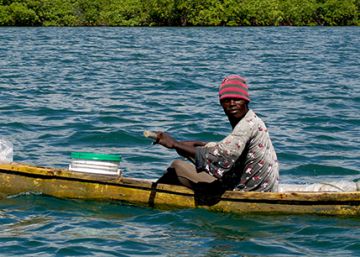 La lucha contra el pescado podrido