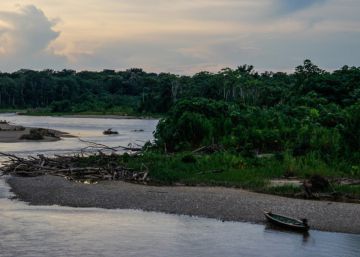 El cambio climático amenaza a la Amazonía que queremos