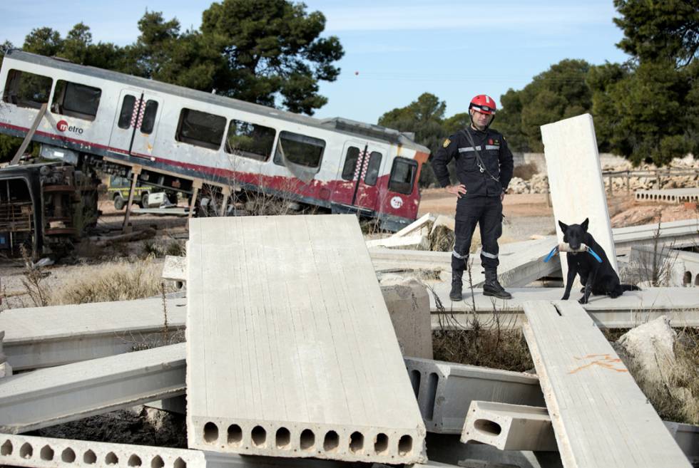 Carles Bosch y 'Quinto', así entrena un perro de rescate