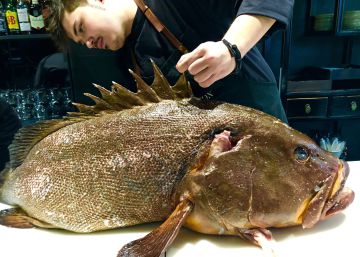 ¿Cuánto tiempo deben madurar los pescados?