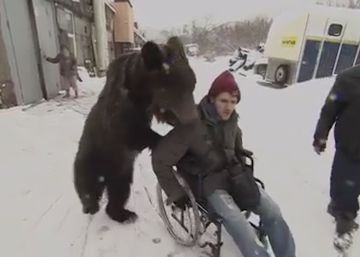 El oso que empuja la silla de ruedas de su entrenador de circo