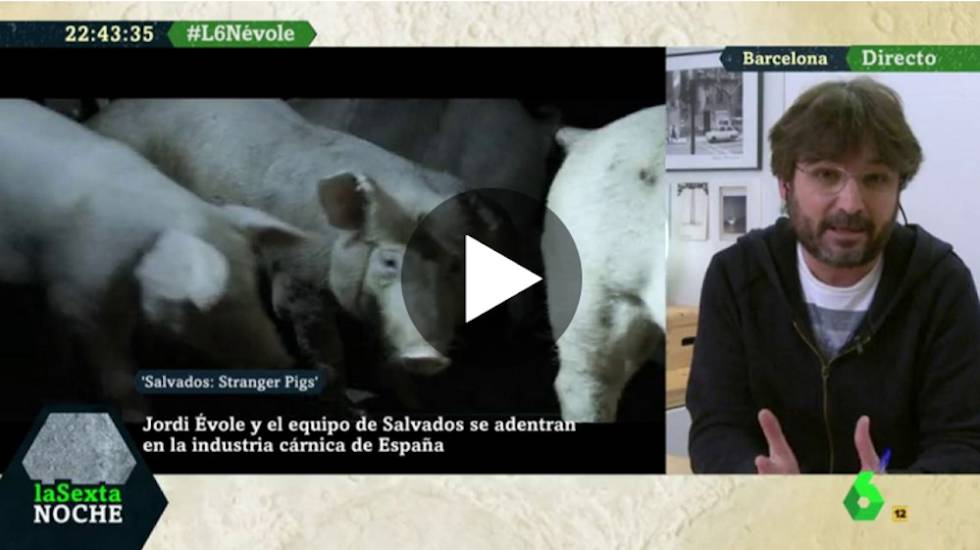 Esto opinan de 'Salvados' los activistas por los derechos de los animales