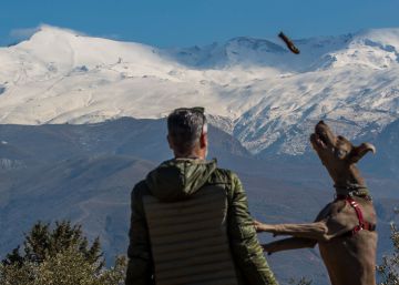 Millones de virus y bacterias caen del cielo cada día