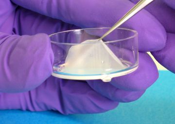 L’Oréal cultiva piel humana asiática para sustituir la experimentación con animales en China