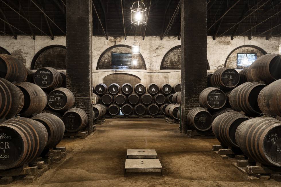 Interior de las Bodegas Alvear, en Montilla (Córdoba).