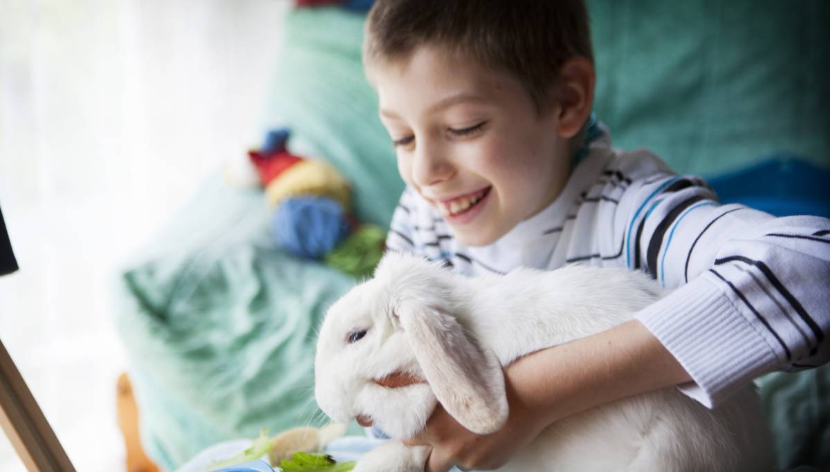 Un niño de 10 años con Síndrome de Asperger en una sesión de terapia con animales.