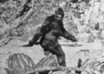 Un tribunal decidirá si bigfoot existe