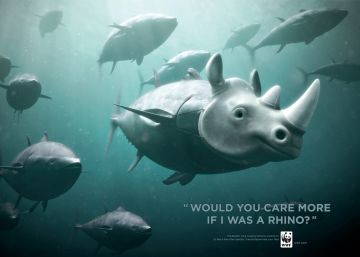 Big Data contra la pesca ilegal