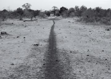 Las últimas vidas errantes del Sahel