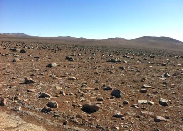 En el lugar más seco del mundo también hay vida