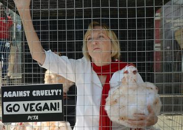 Los animalistas entran al trapo lingüístico: no más frases como ‘agarrar el toro por los cuernos’