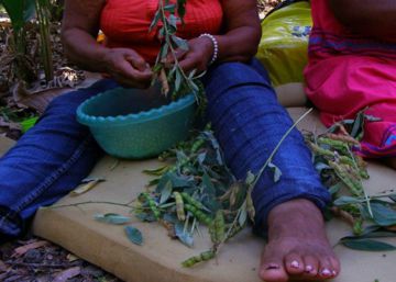 Nuestras tierras: ¿quién las tiene?