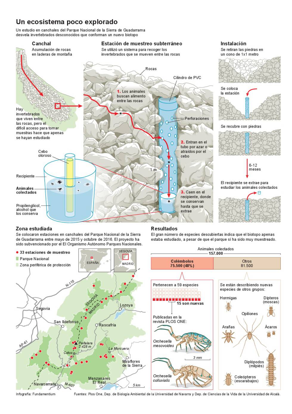 Descubiertas 15 nuevas especies de invertebrados en la Sierra de Guadarrama