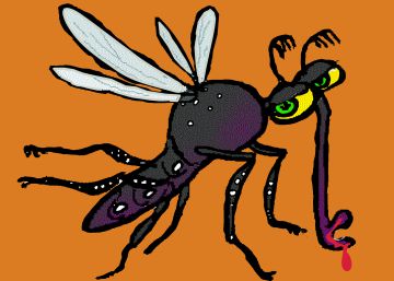 Por qué los mosquitos pican más a los más pobres
