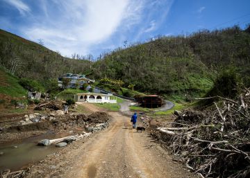 Islas arrasadas buscan agricultura resistente