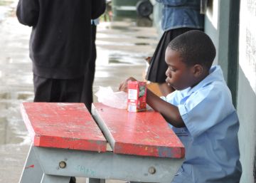 Menús escolares contra la obesidad