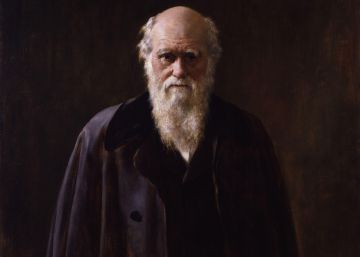 El ‘spleen’ de Darwin