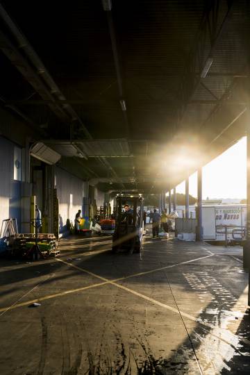 Dawn at the fish market loading bay.