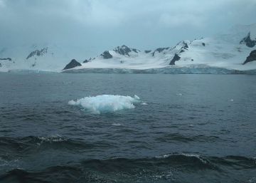 El cautivador hielo antártico