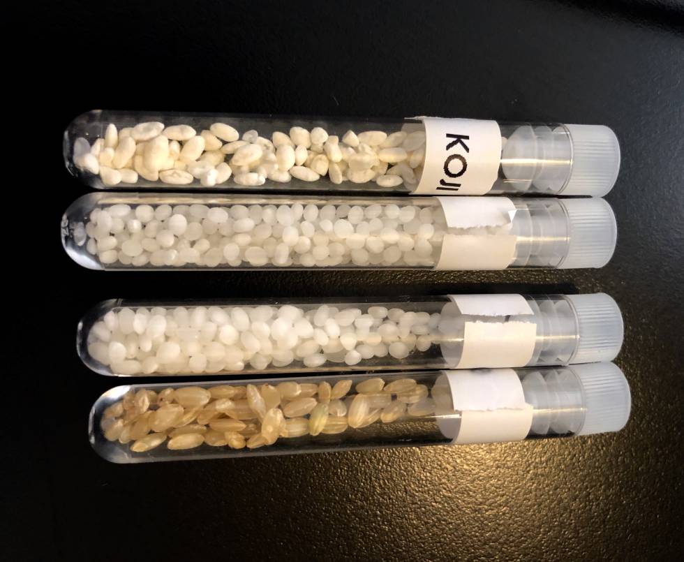 DISTINTOS GRADOS DE PULIDO DEL ARROZ CAPEL