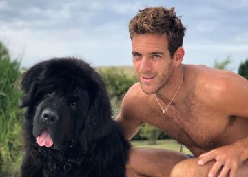‘César’, el perro al que Juan Martín del Potro dedicó su triunfo en Indian Wells