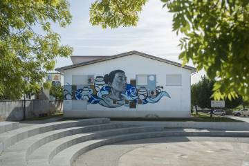 ¿Pueden los grafitis salvar el campo en Portugal?