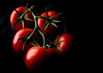 Renuncia a comer tomates en invierno y salva el planeta