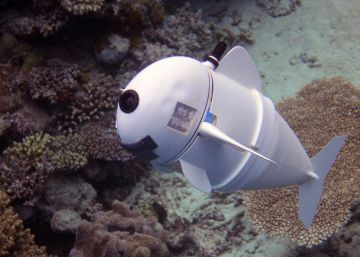 ‘SoFi’, un pez robot de silicona que se confunde entre la fauna marina