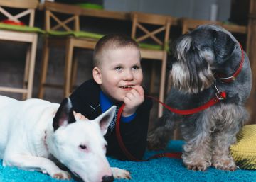 Niños con autismo y animales, la comunicación más allá de las palabras