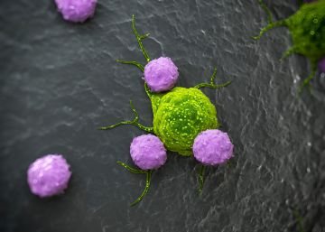 Una inmunoterapia de precisión para el cáncer de mama